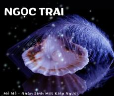 TRAI NGỌC